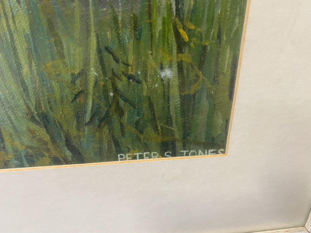 Picture - Image 3
